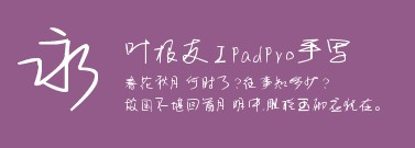 Ipadpro֌w